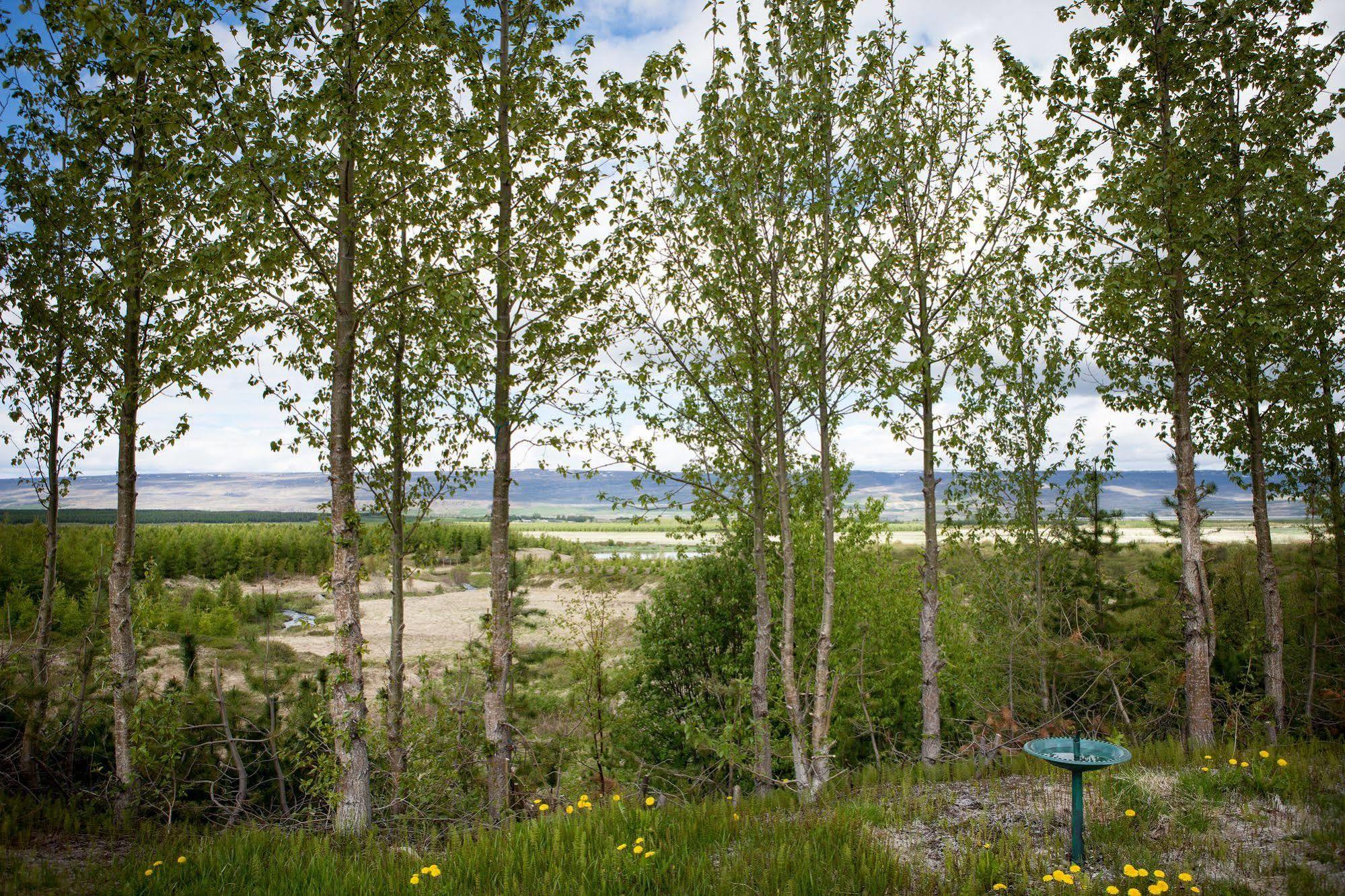 Kalda Lyngholt Villa Egilsstadir Luaran gambar